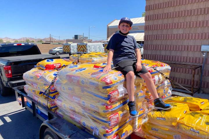 Roman Pandullo collected 4,300 pounds of dog food to donate to the Henderson Animal Shelter. Ca ...