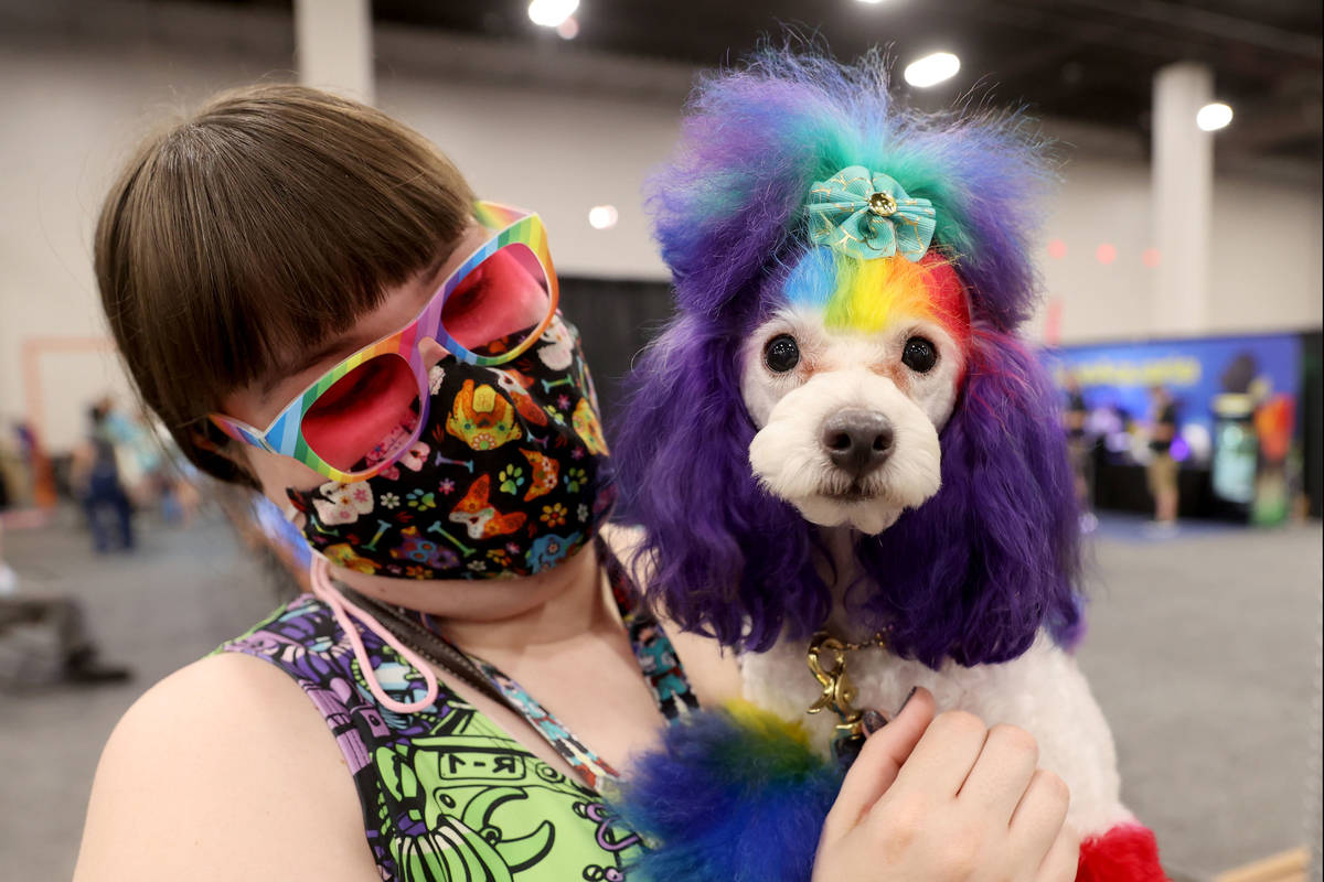 Groomer Danielle English of All About Paws Pet Spa in Upland, Calif. shows off Frannie during t ...