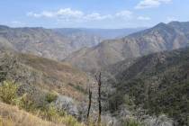 A remote canyon area northeast of the town of Mariposa, seen on Wednesday, Aug. 18, 2021, is re ...