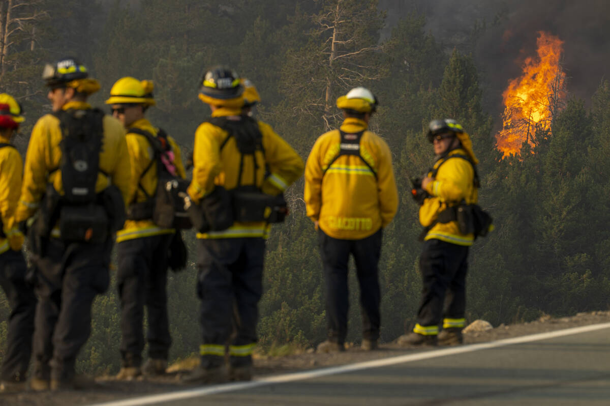 Division of Forestry wildland firefighters gather as flames erupt on a nearby ridge above Caple ...