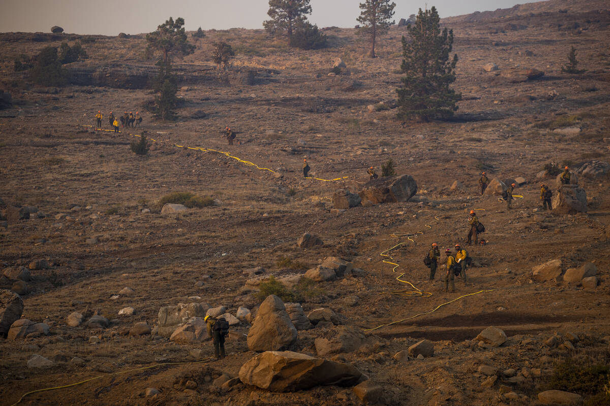 Division of Forestry wildland firefighters lay water lines as flames erupt on a nearby ridge ab ...