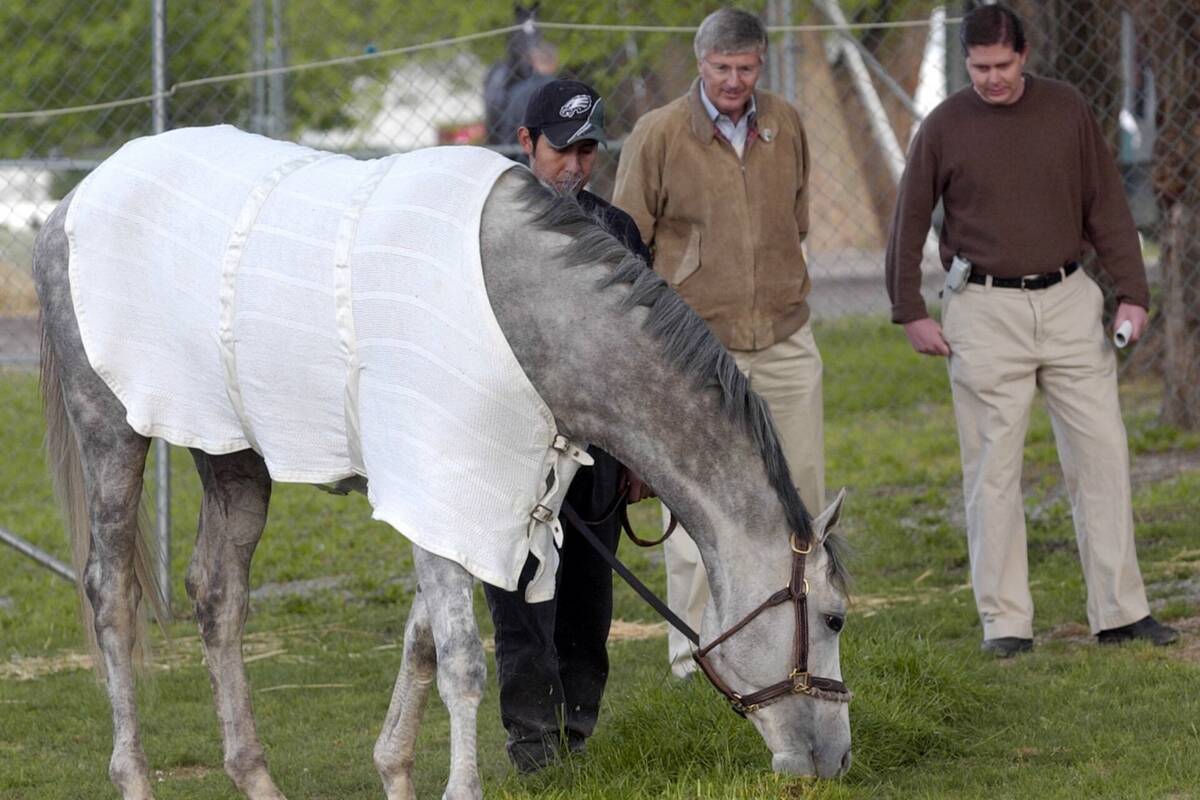 Trainer Michael Dickinson, center, and owner Ron Winchell, right, look over Kentucky Derby entr ...