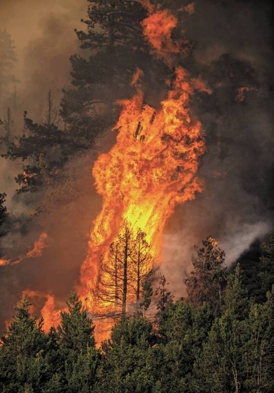 Flames erupt in trees on a nearby ridge above Caples Lake as the Caldor Fire continues to burn ...
