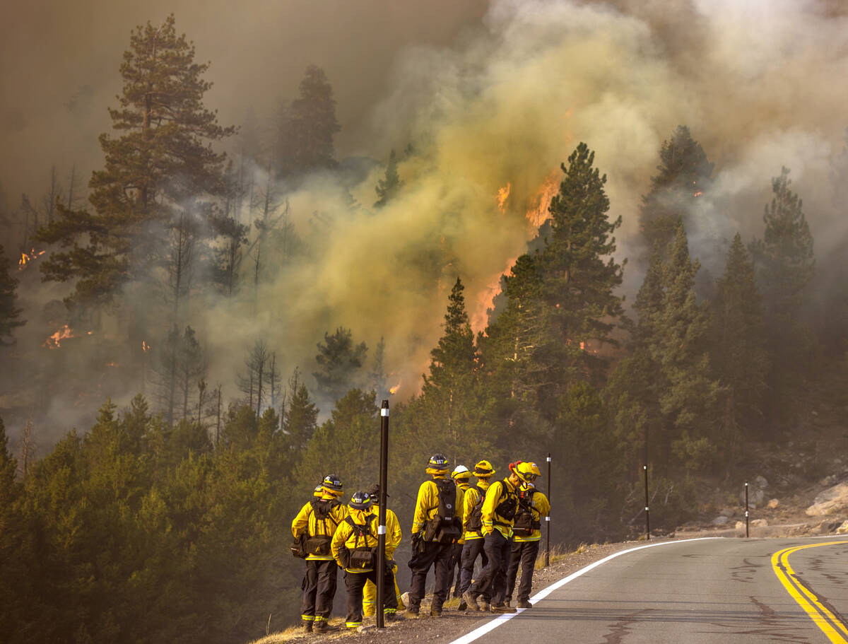 Division of Forestry wildland firefighters gather as flames erupt on a nearby ridge above Caple ...