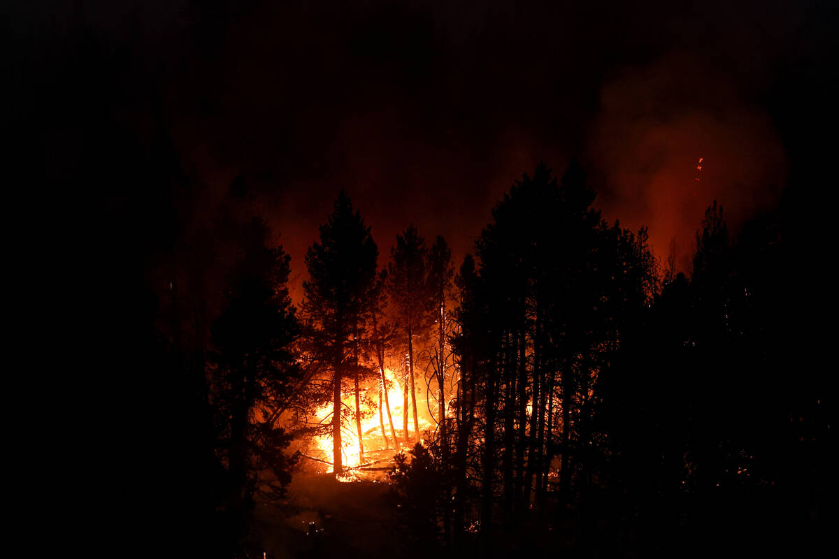 FILE - In this Sept. 3, 2021, file photo, the Caldor Fire consumes trees in Eldorado National F ...