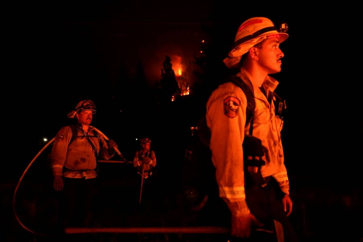 Firefighters are lit by a backfire set to prevent the Caldor Fire from spreading near South Lak ...