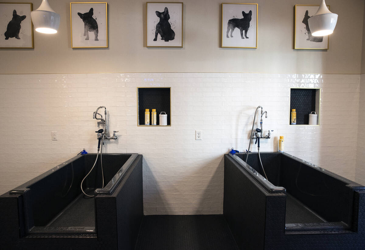 Pet wash area is seen at Auric Symphony Park, the first luxury multifamily residential communit ...