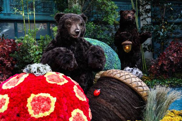 Bears in the north bed in the autumn exhibit ''Deeper into the Forest" is on display until Nov. ...