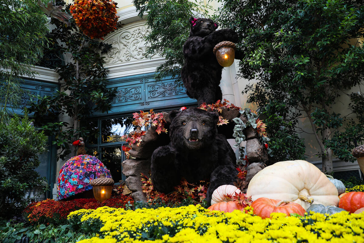 Bears in the north bed in the autumn exhibit ''Deeper into the Forest" is on display until Nov. ...