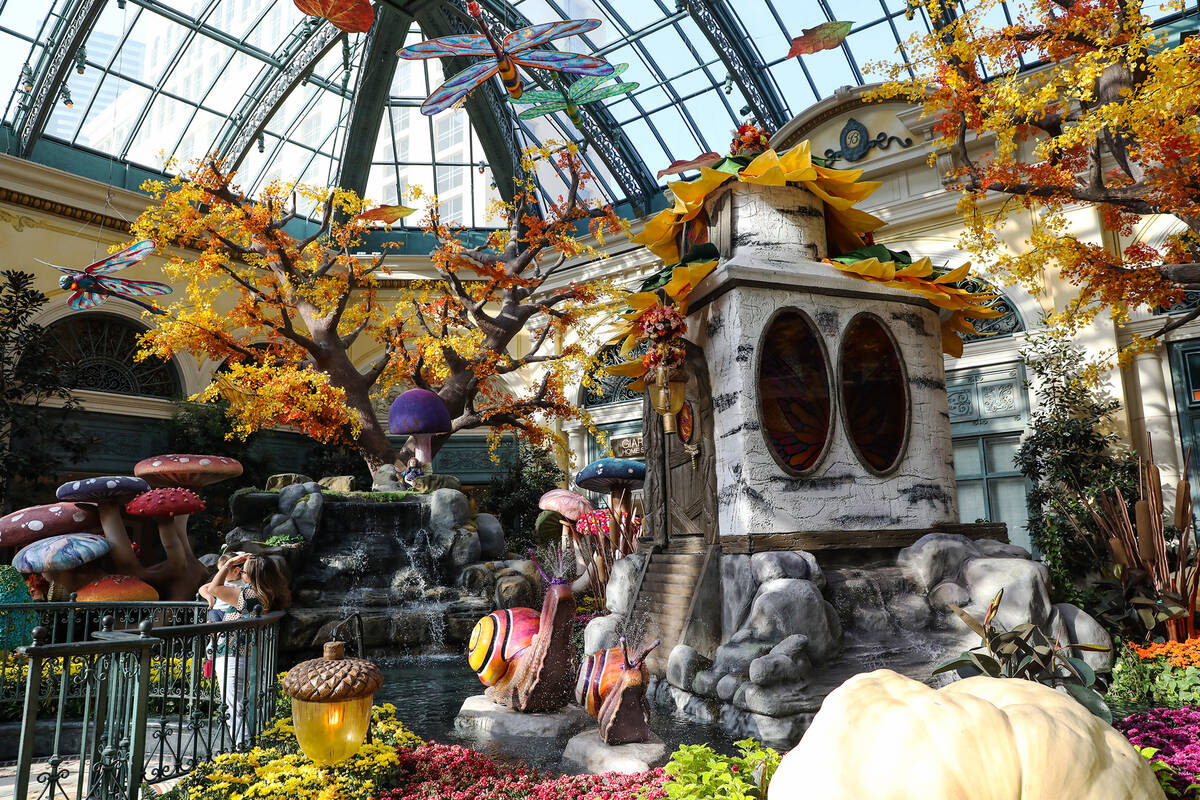 The west bed in the autumn exhibit “Deeper into the Forest” is on display until N ...
