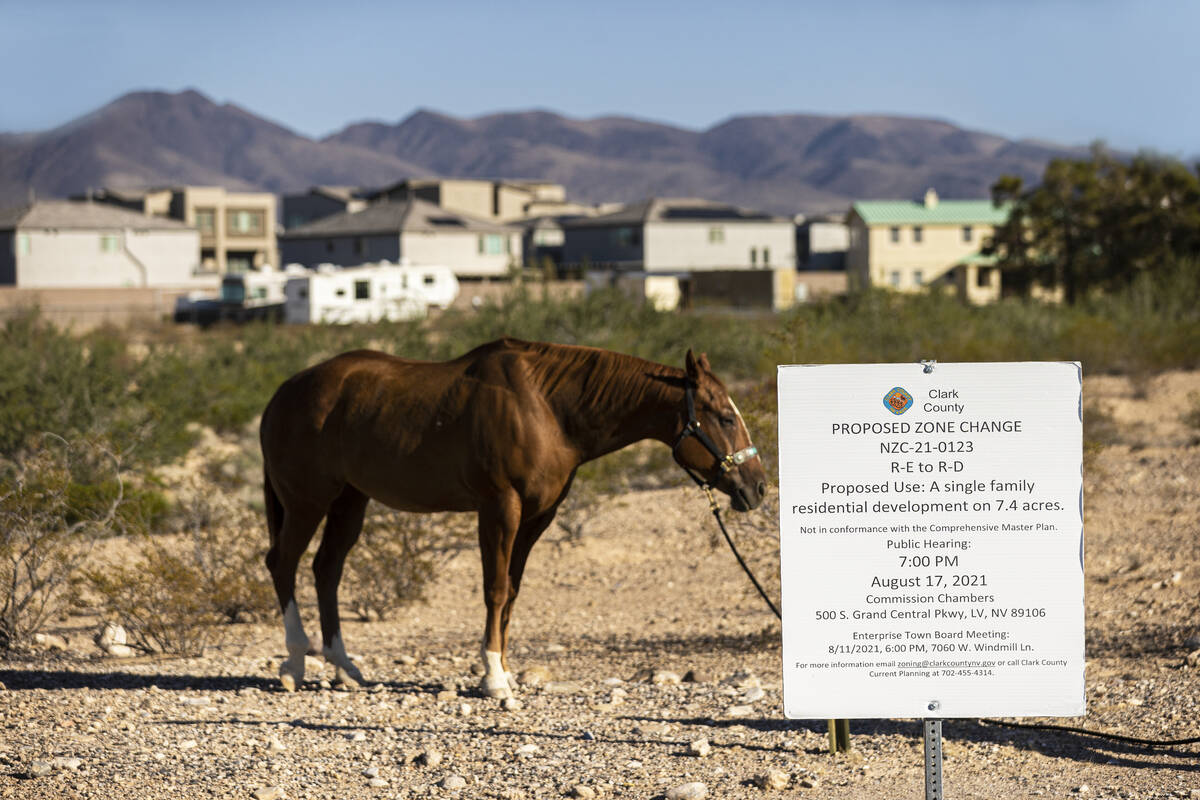 A horse grazes near a sign at East Chartan Avenue and South Placid Street for a proposed zone c ...