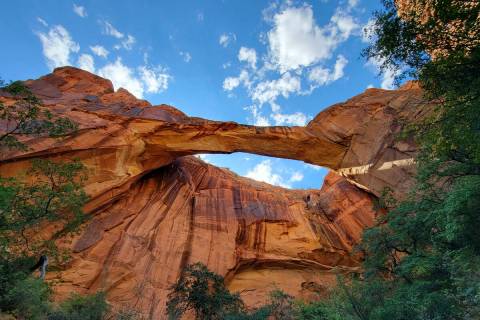 Escalante Natural Bridge is one of the most impressive stories of water and wind erosion in Gra ...