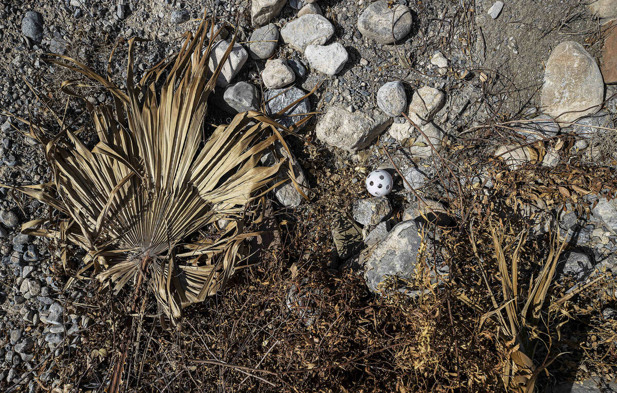 A wiffle ball rests amongst dried out foilage in a vacant field on Saturday, Oct. 9, 2021, in L ...