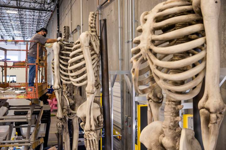 Jose Cardenas paints giant skeleton bodies within the Electric Daisy Carnival warehouse as they ...