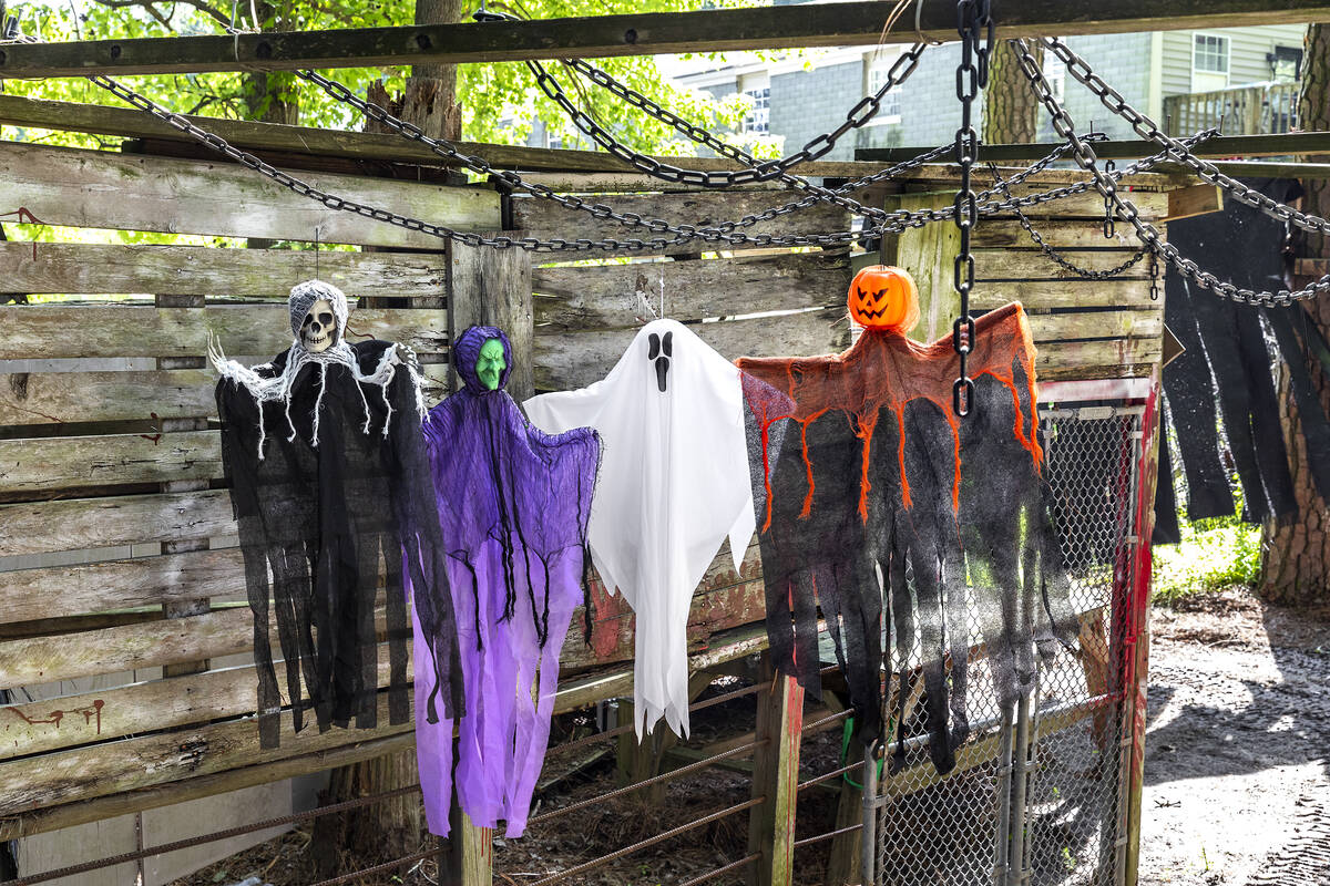 Ghouls, ghosts and witches measuring 30 to 36 inches are an inexpensive addition to any yard. ( ...