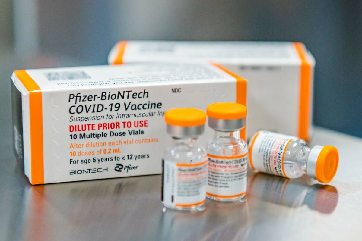 This photo provided by Pfizer shows kid-size doses of its COVID-19 vaccine in Puurs, Belgium. ( ...