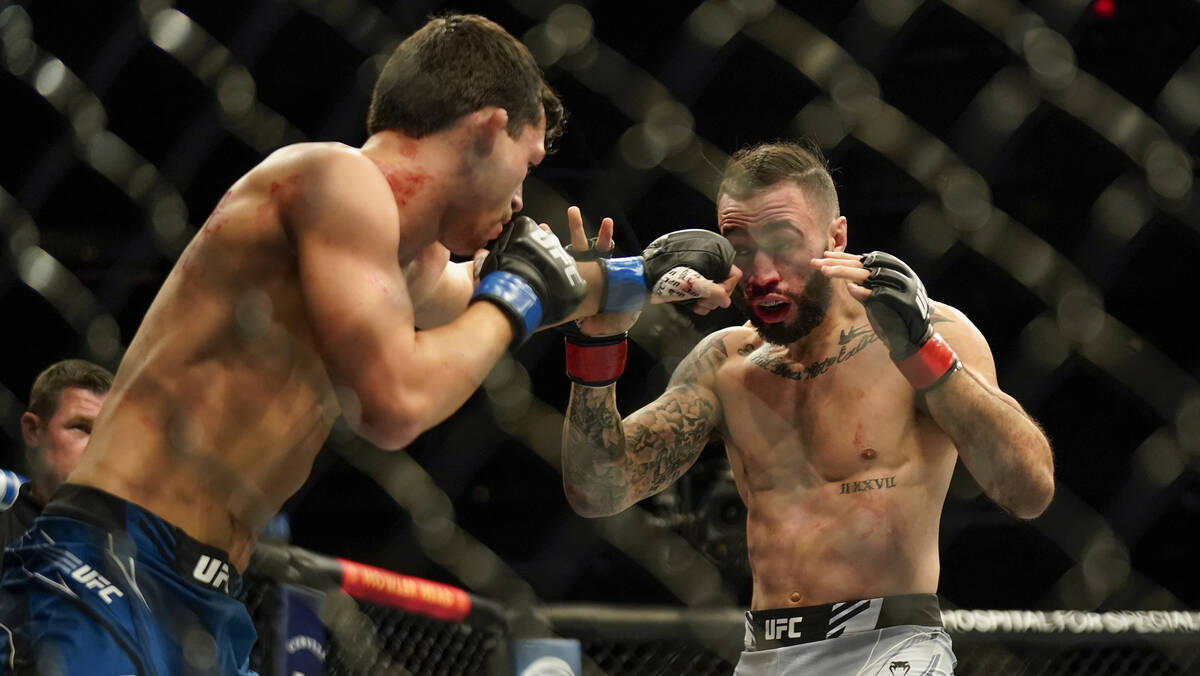 Billy Quarantillo, left, exchanges punches with Shane Burgos during a lightweight mixed martial ...