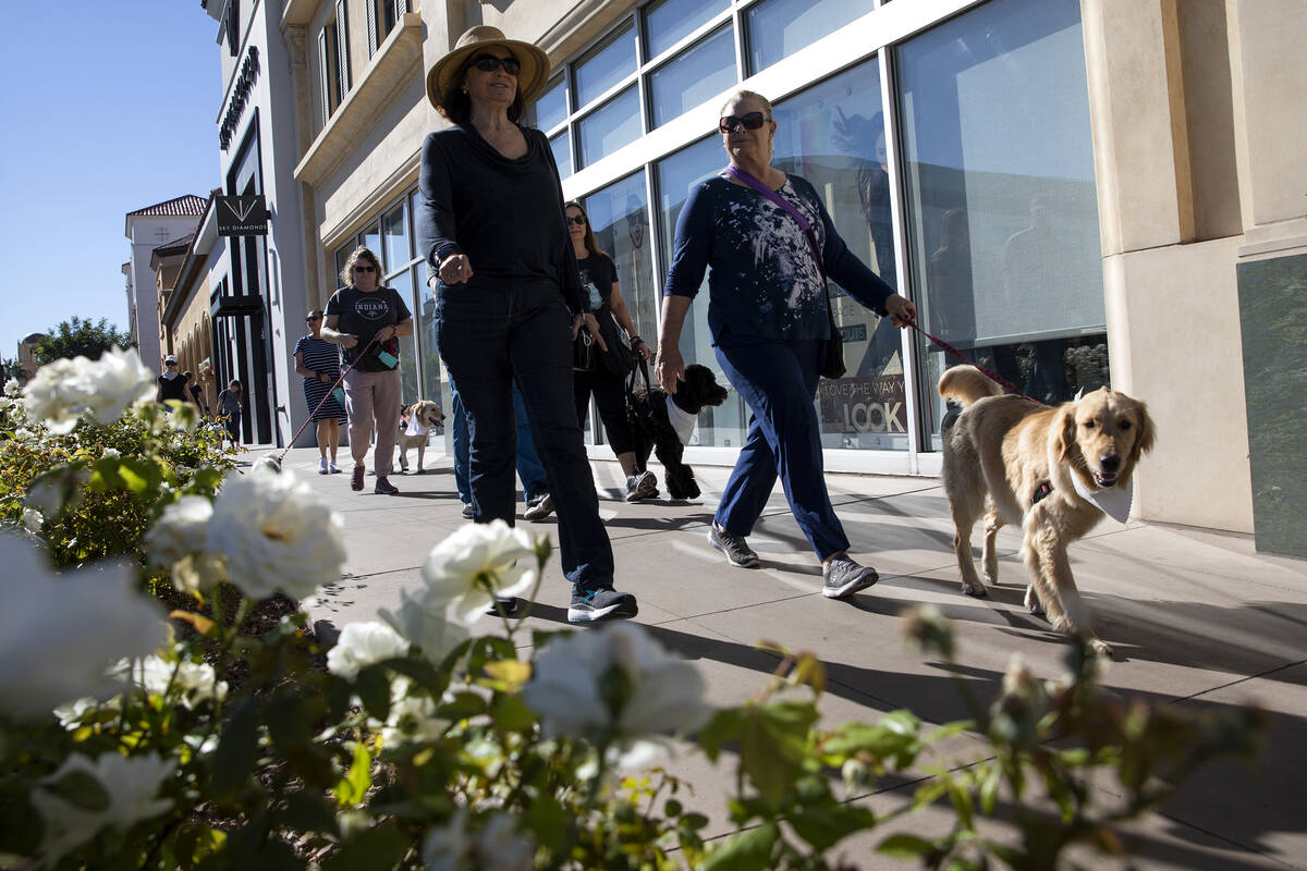 Jaclyn Szabo, left, and Dianne Schiller walk with golden retriever Suki during a walk in honor ...