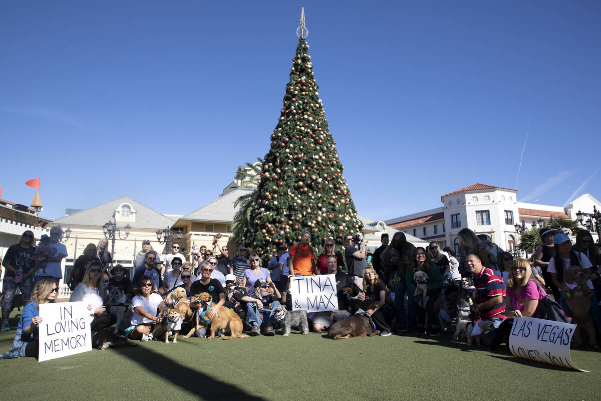 Owners and canines pose for a photo during walk in honor of Tina Tintor and her golden retrieve ...