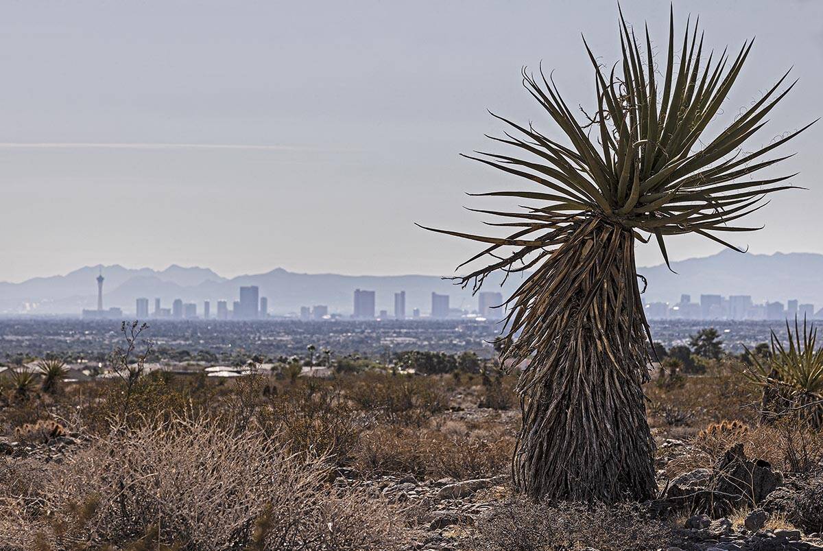 The Las Vegas skyline seen from a vacant field on Saturday, Oct. 9, 2021, in Las Vegas. McCarra ...