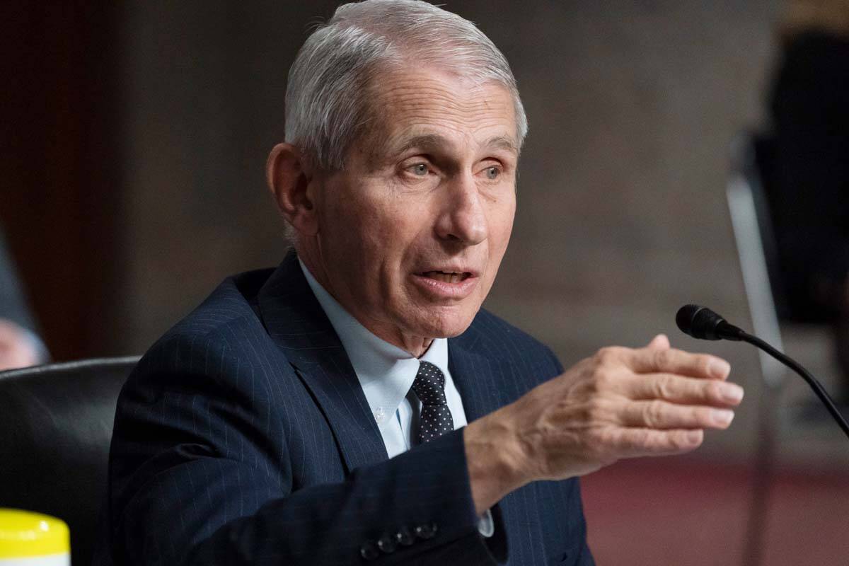 Dr. Anthony Fauci, director of the National Institute of Allergy and Infectious Diseases, speak ...