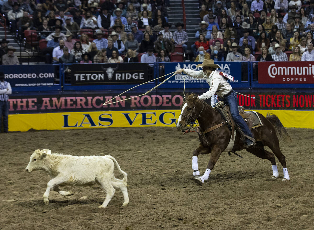 Ty Harris of San Angelo, Texas, eyes his animal in Tie-Down Roping during the fourth round of t ...