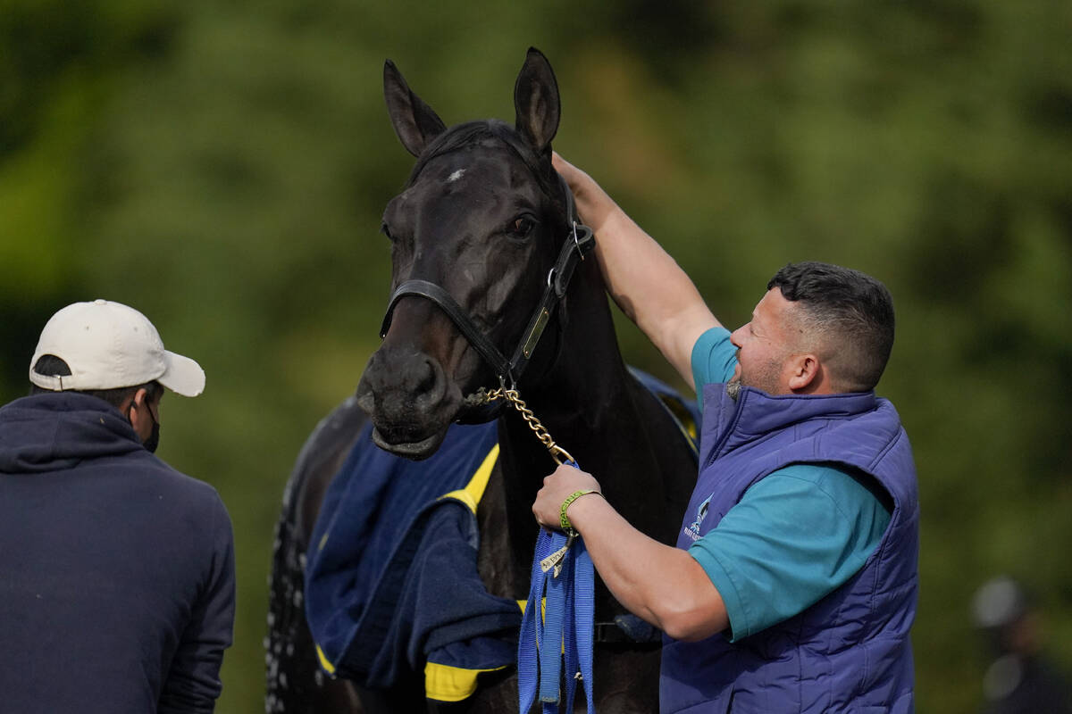 Kentucky Derby winner and Preakness entrant Medina Spirit is bathed after a workout ahead of th ...