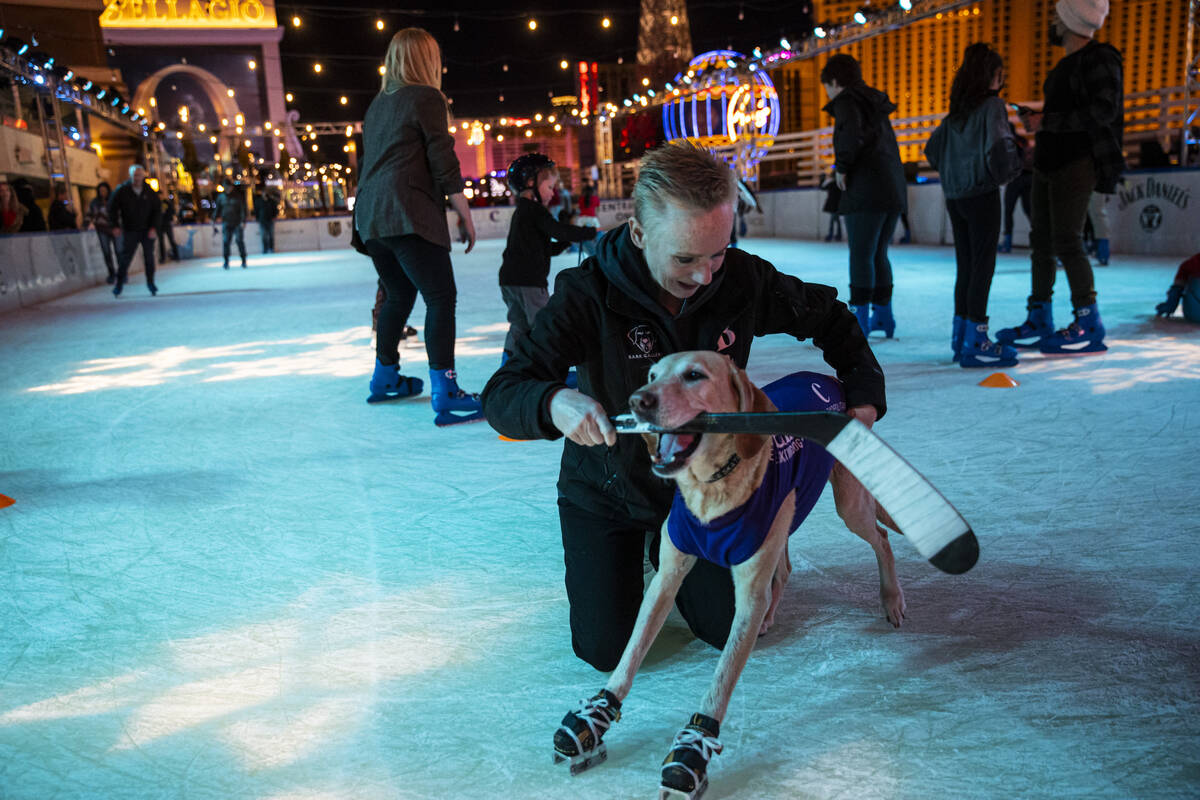 Cheryl DelSangro hands her dog, Benny, a Labrador retriever, his hockey stick at the ice rink a ...