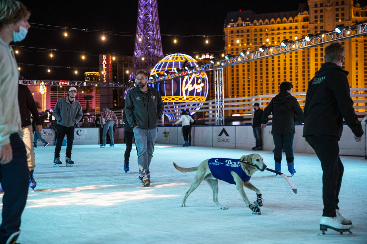 Benny, a Labrador retriever, skates at the ice rink at The Cosmopolitan of Las Vegas on Wednesd ...