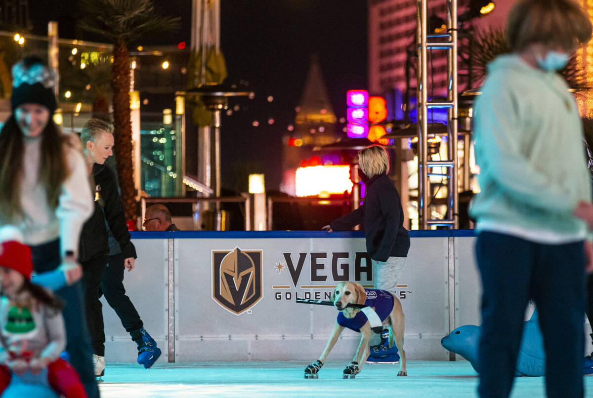 Benny, a Labrador retriever, skates at the ice rink at The Cosmopolitan of Las Vegas on Wednesd ...