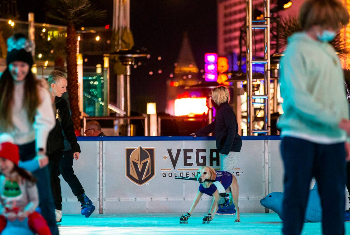 Benny, a Labrador retriever, skates at the ice rink at The Cosmopolitan of Las Vegas on Wednesd ...