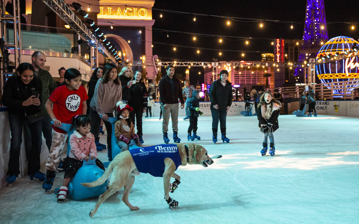 Benny, a Labrador retriever, skates at the ice rink at The Cosmopolitan of Las Vegas on Wednesd ...