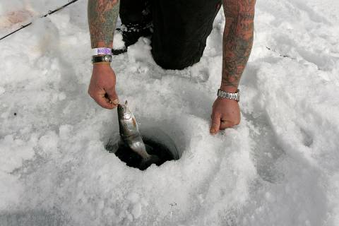 Freezing temperatures forecast across parts of Nevada mean it's just about ice fishing season. ...