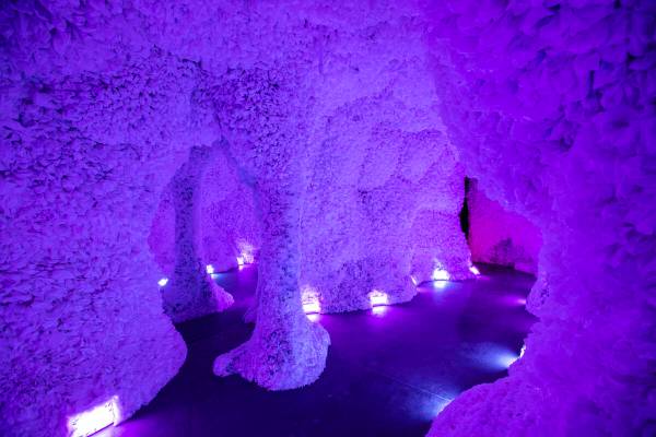 A cave made of plastic bags by artist Basia Goszczynska is seen during a tour of Arcadia Earth, ...