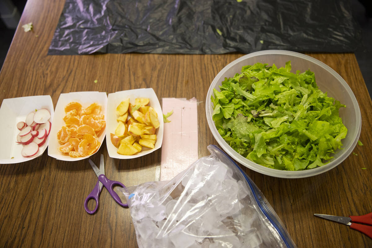 A hydroponic garden lettuce harvest during a Gardening Club meeting at Dearing Elementary Schoo ...