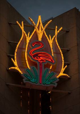 A neon sign at the Flamingo in Las Vegas on Thursday, Dec. 9, 2021. (Chase Stevens/Las Vegas Re ...