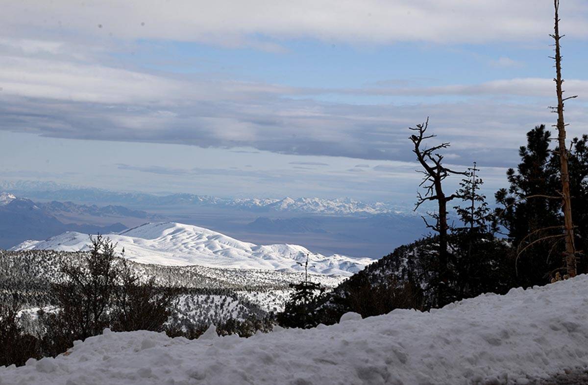 Freshly fallen snow on Mount Charleston northwest of Las Vegas Tuesday, Oct. 12, 2021. Rain and ...