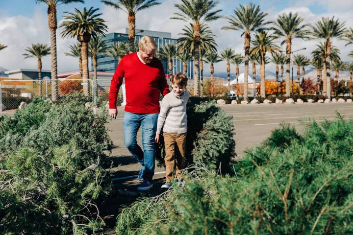 The annual Christmas Tree Recycling Program returns to Summerlin Dec. 26 through Jan. 15. (Summ ...