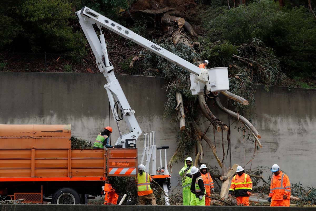 Caltrans workers clear the remains of a 100-foot eucalyptus tree from the northbound lanes of H ...