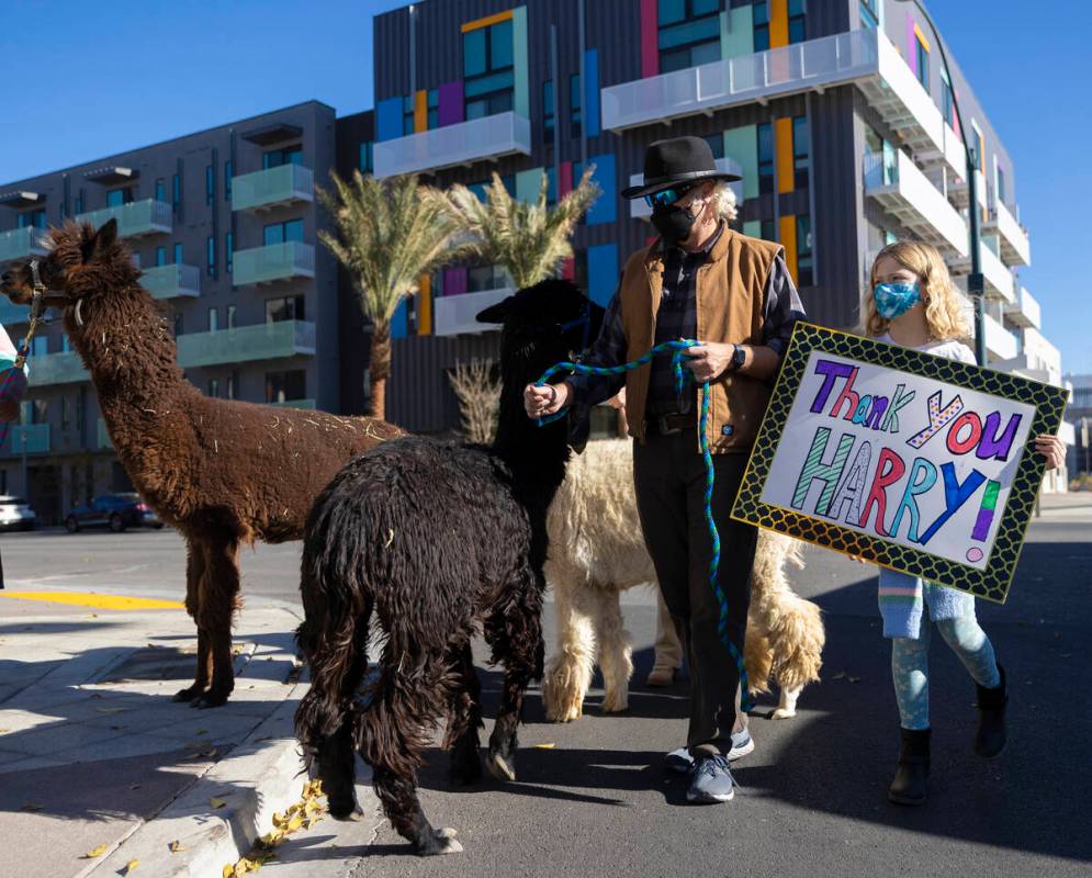 Steven Spann, left, and daughter May, 9, walk their alpaca’s outside The Smith Center du ...