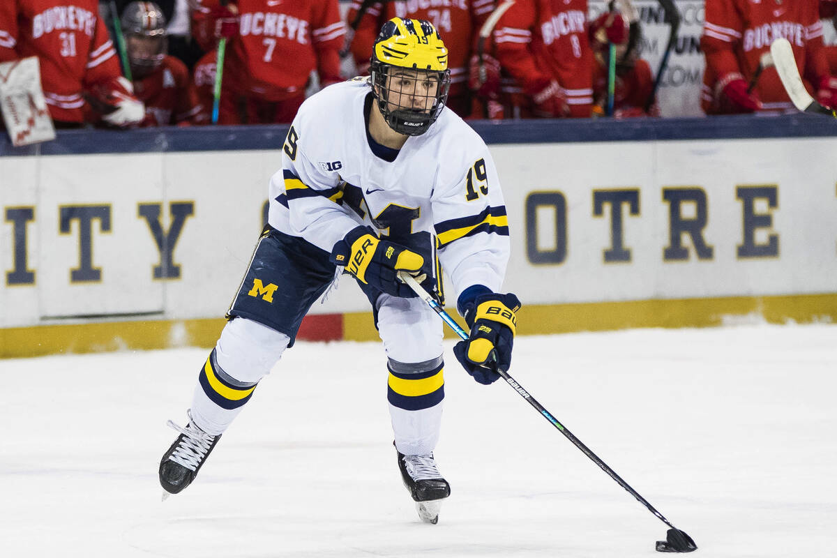 Michigan's Brendan Brisson (19) skates down the ice during an NCAA college Big Ten hockey tourn ...
