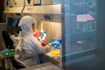 FILE - Scientists at the Africa Health Research Institute in Durban, South Africa, work on the ...