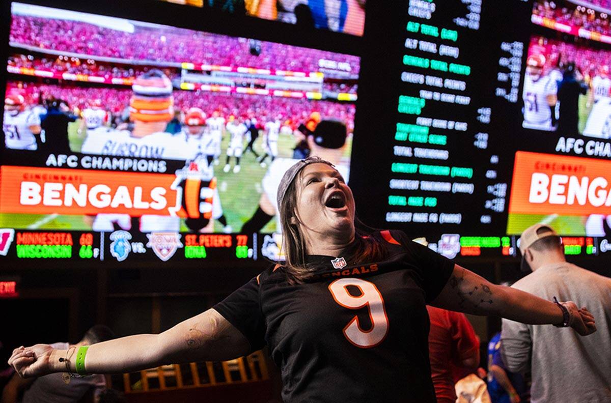 Bengals fan Steph Boyer, from Denver, Colo., cheers for Cincinnati during the AFC Championship ...