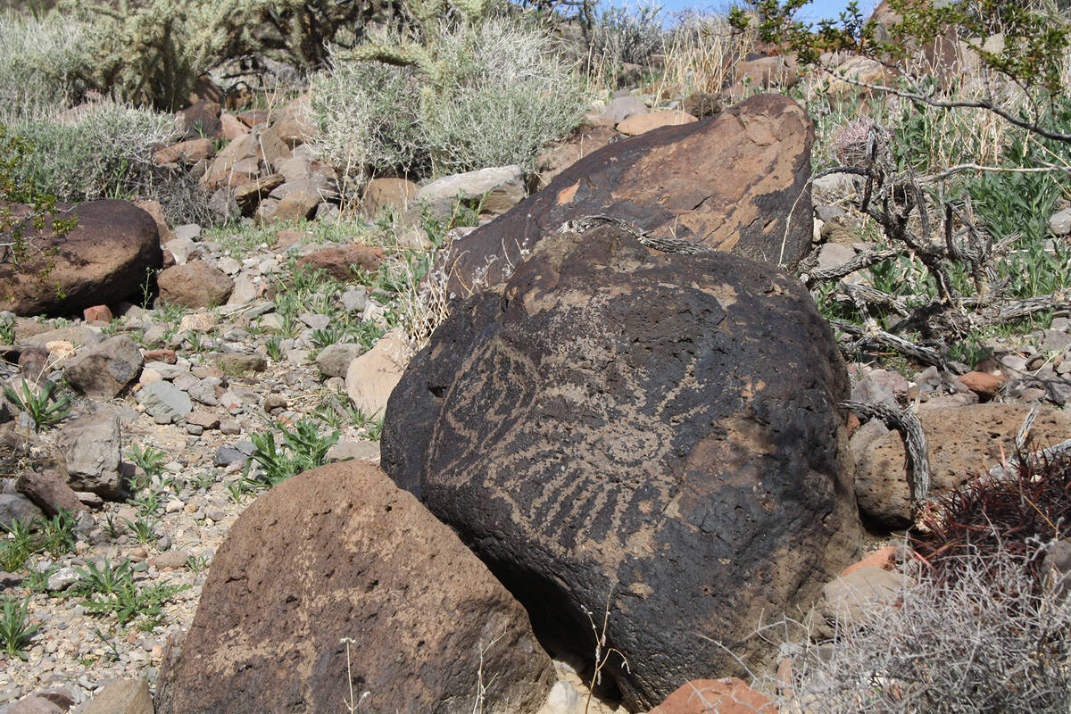 You will see many types of petroglyphs near Piute Creek in California’s Mojave National Prese ...