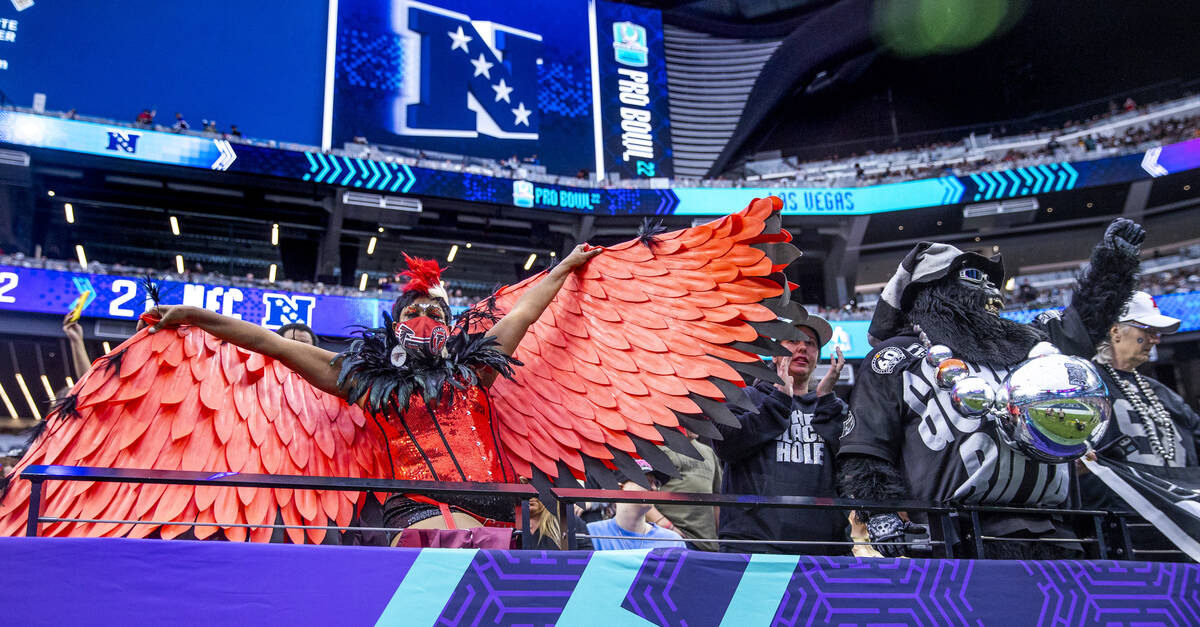 An Atlanta Falcons fan in falcon costume beside Gorilla Rilla during the second half of the Pro ...