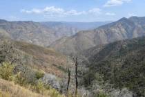 A remote canyon area northeast of the town of Mariposa, seen on Wednesday, Aug. 18, 2021. (Crai ...