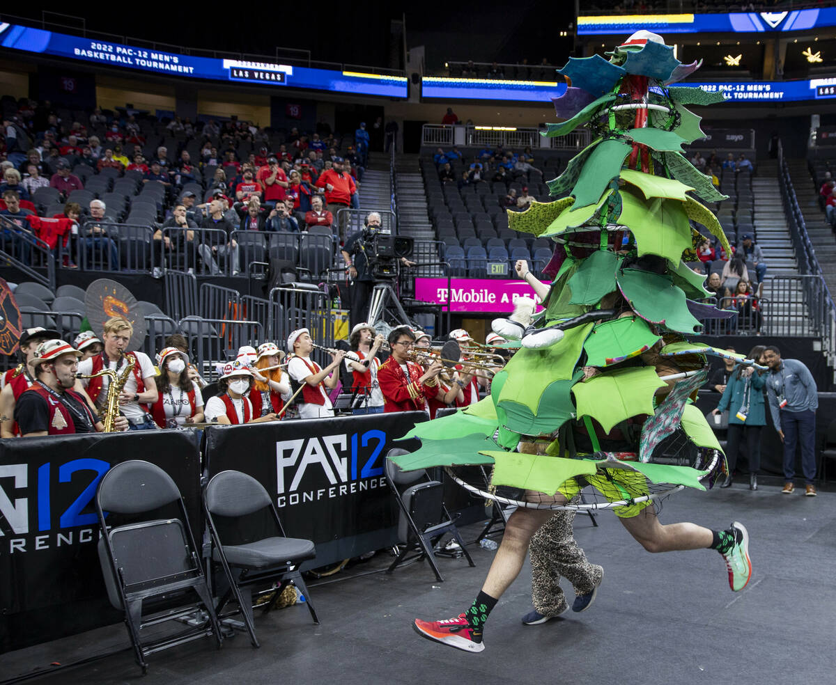 The Stanford Tree dances before the band as they face the Arizona Wildcats during the first hal ...