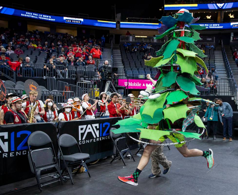 The Stanford Tree dances before the band as they face the Arizona Wildcats during the first hal ...
