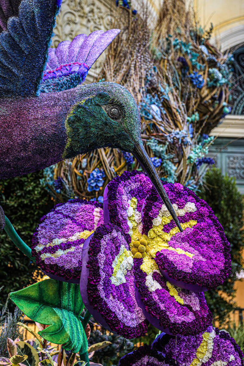 The new spring display “Flights of Fancy” at the Bellagio Conservatory on Monday, ...