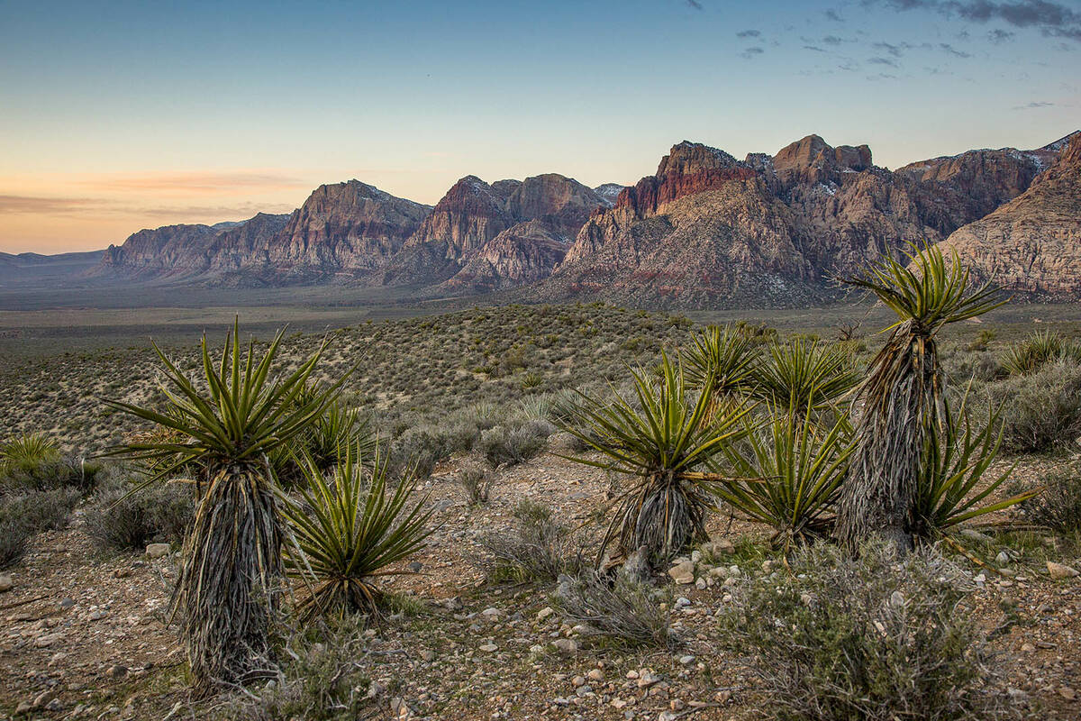 The Reserve at Red Rock Canyon